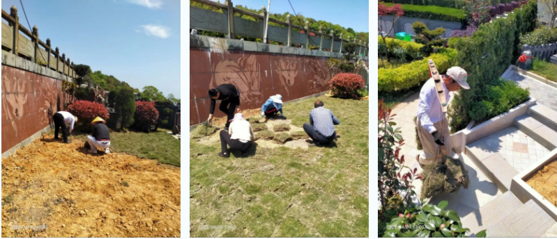 首页- Z6官网中国区人生就是博