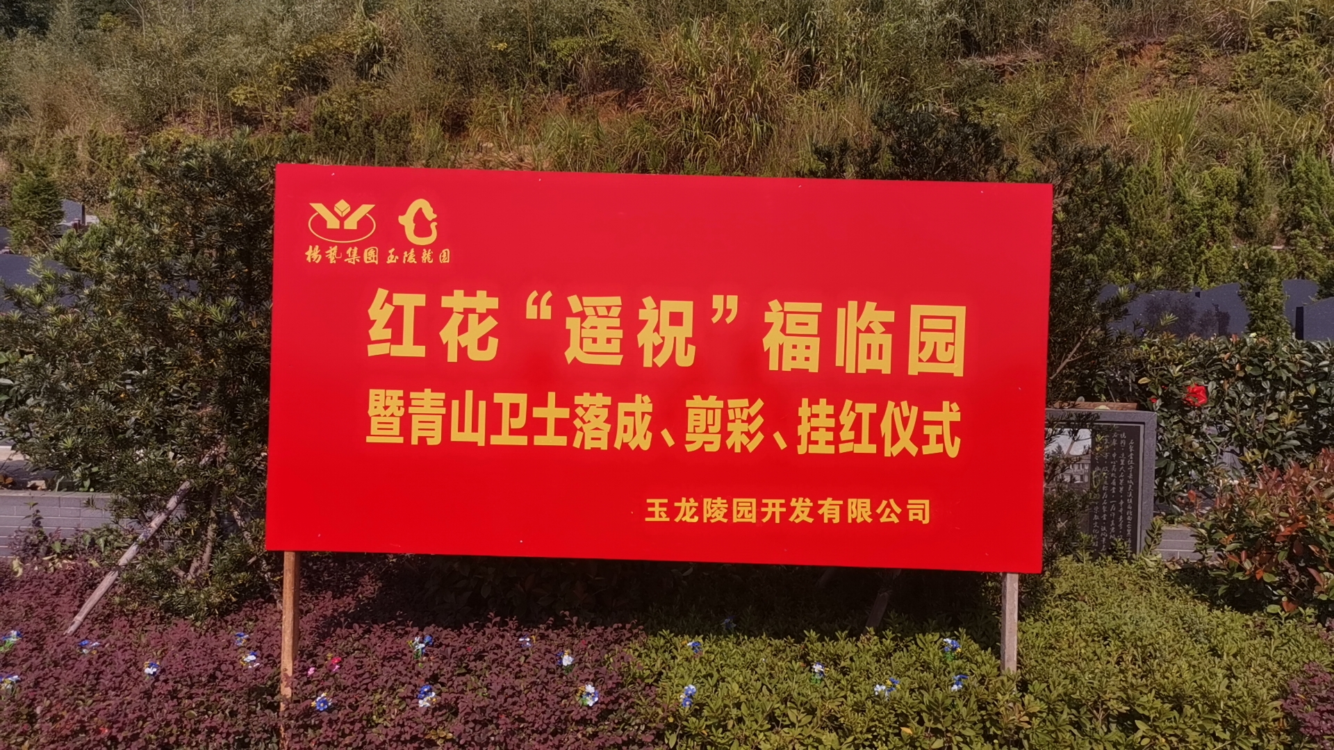红花传爱意，情满玉龙园！