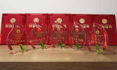 “Z6官网杯”浙江省节地生态安葬设计作品奖