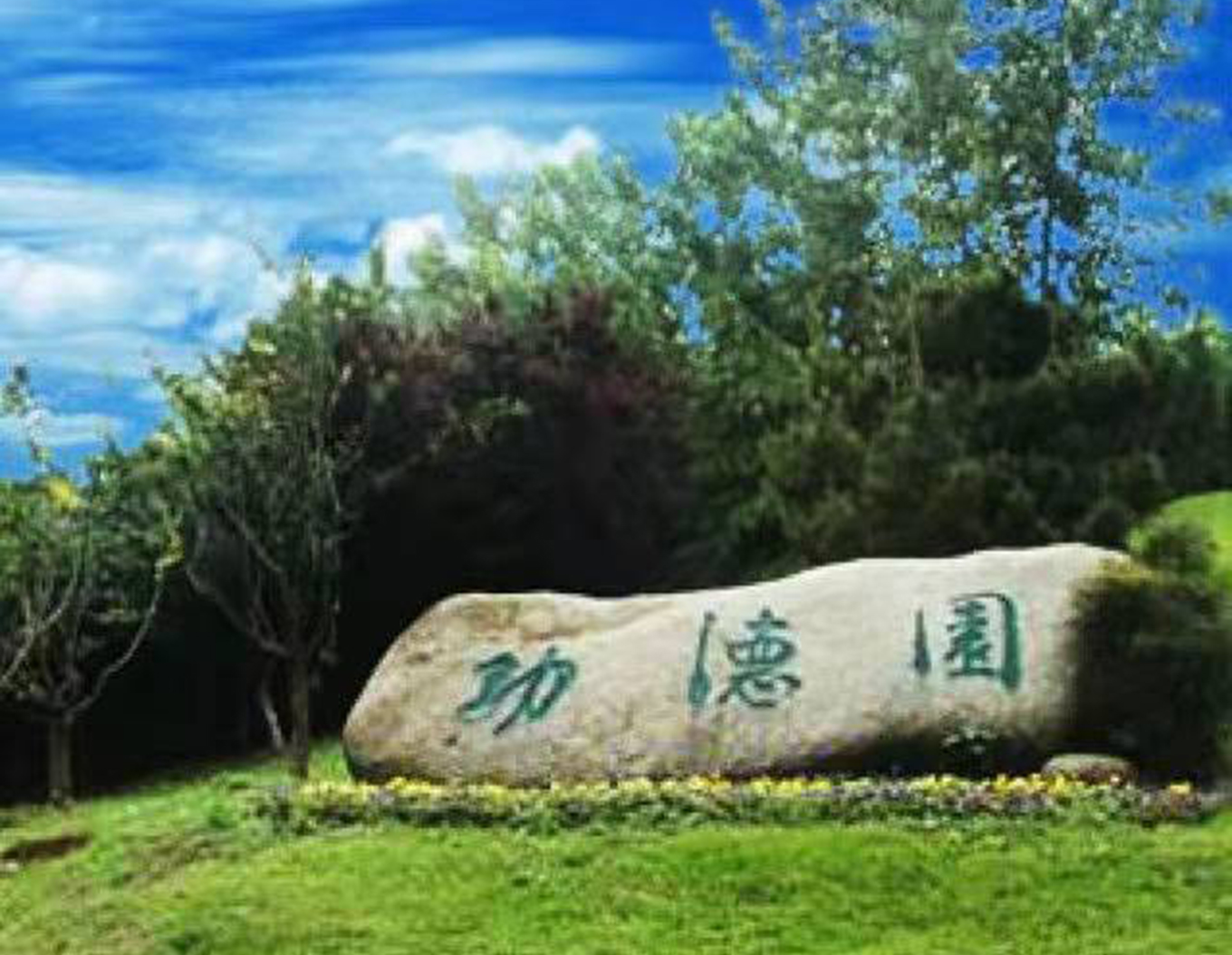首页- Z6官网中国区人生就是博