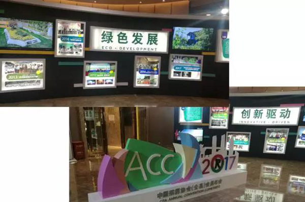 首页- Z6官网中国区人生就是博