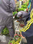 【Z6官网人别样清明】2018年清明落葬工作圆满完成