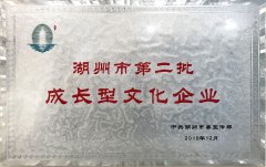 2018.12 湖州市第二批成长型文化企业