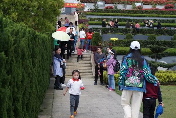 首页- Z6官网中国区人生就是博