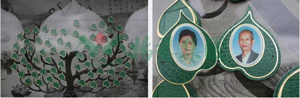 首页- Z6官网中国区人生就是博
