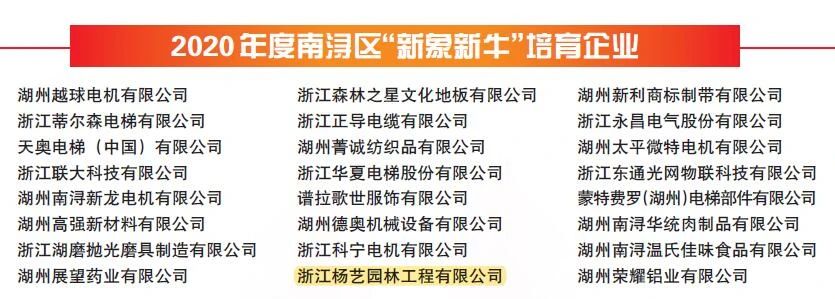 1-220215161120Q6 首页- Z6官网中国区人生就是博