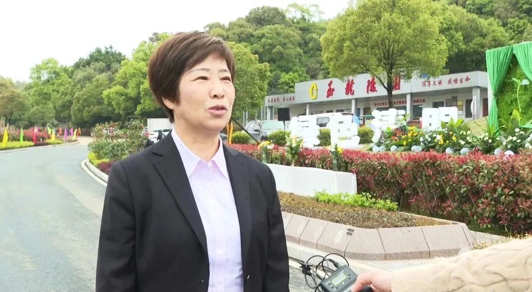 首页- Z6官网中国区人生就是博