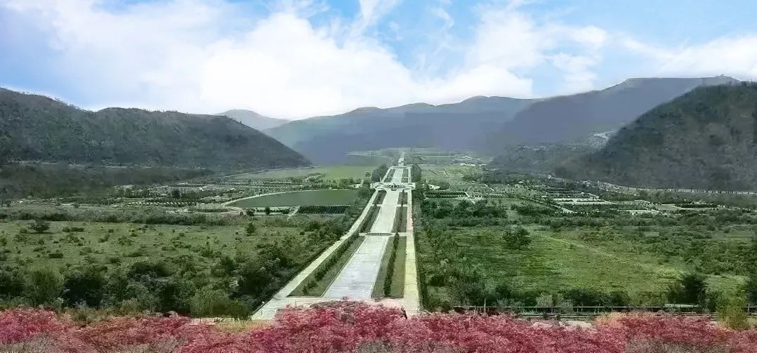首页- Z6官网中国区人生就是博