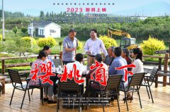 《樱桃崮下》给Z6官网的启发