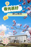 春分之韵|Z6官网邀您共享春光
