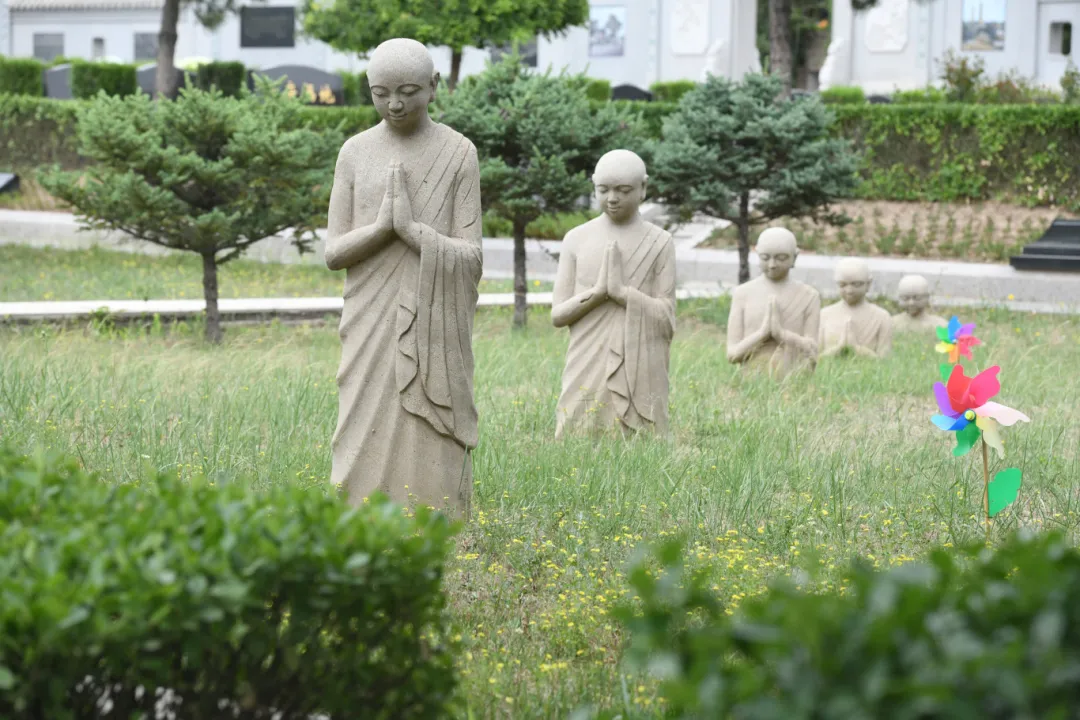 首页- Z6官网中国区人生就是博