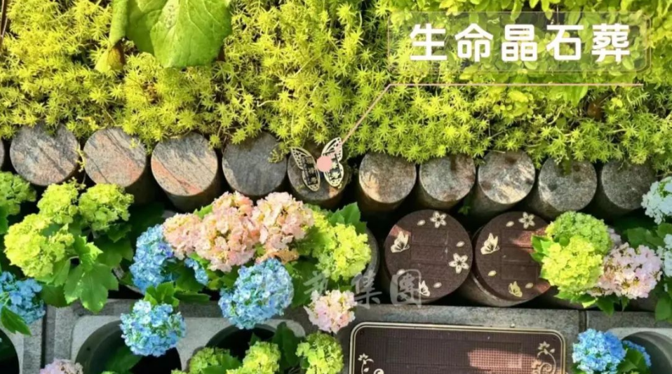 首页- Z6官网中国区人生就是博