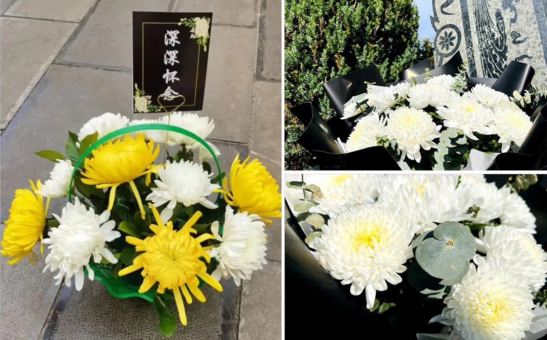 首页- Z6官网中国区人生就是博