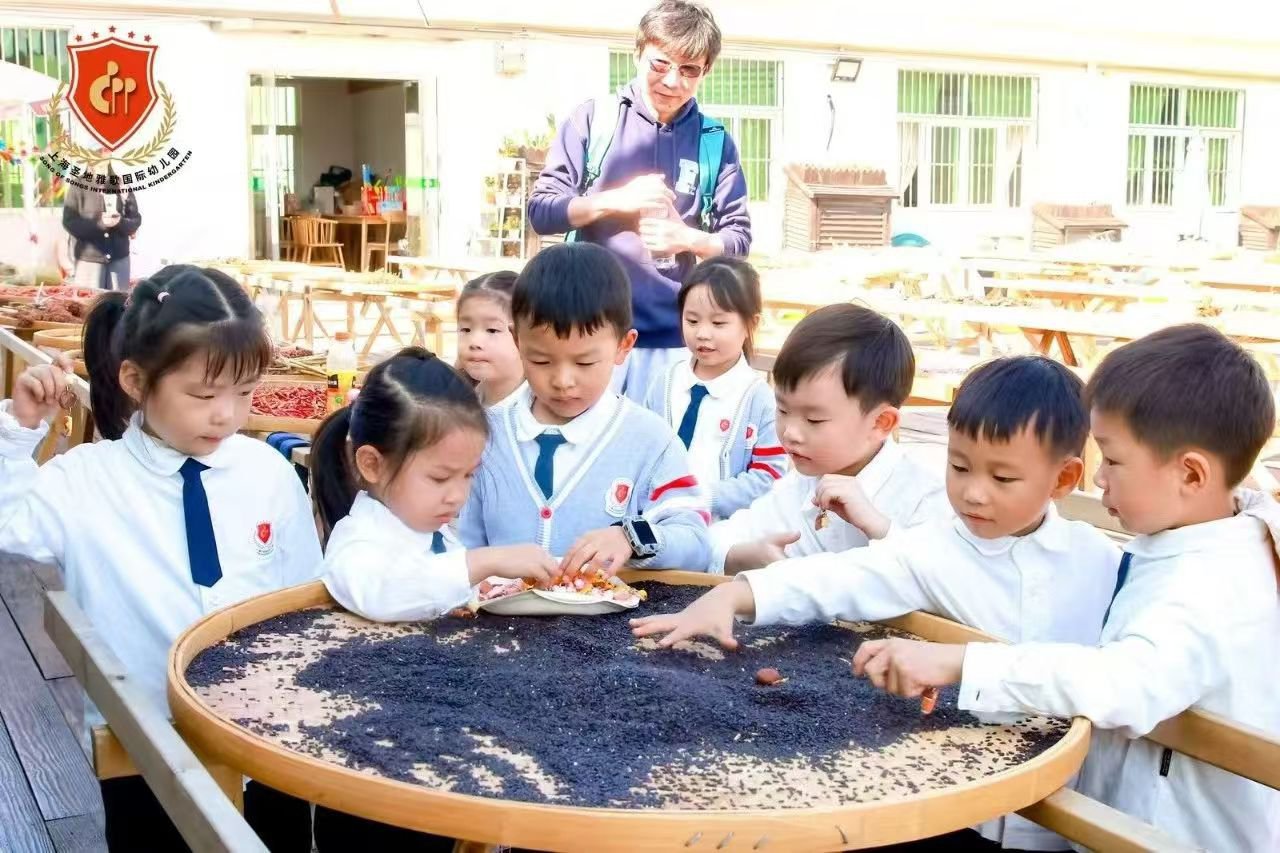 首页- Z6官网中国区人生就是博