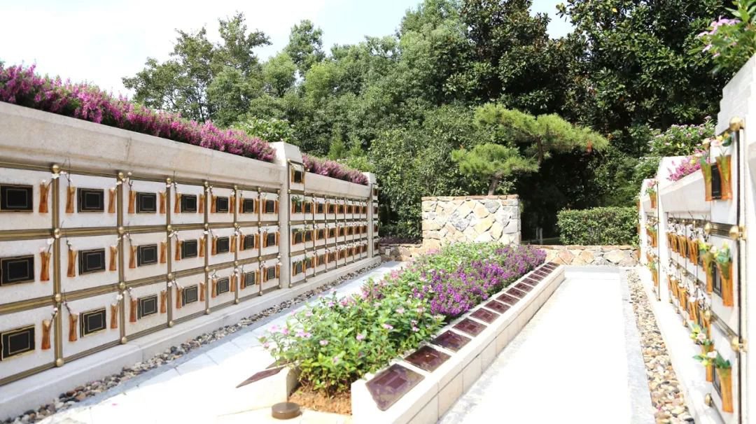 <b>在合肥大蜀山文化陵园，与生命温柔对话</b>
