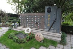 致敬“平安卫士”，铭记“刑警之魂”
