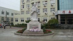 石雕匠心，镌刻医者风华