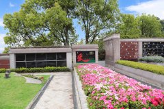 归于自然，泽被后世：解读现代生态葬及其创新趋势