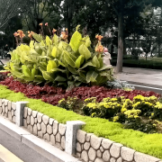 无机仿真石花箱：以永恒之名，塑未来之境
