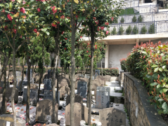 微改造，大情怀——老墓园规划设计的温度与智慧