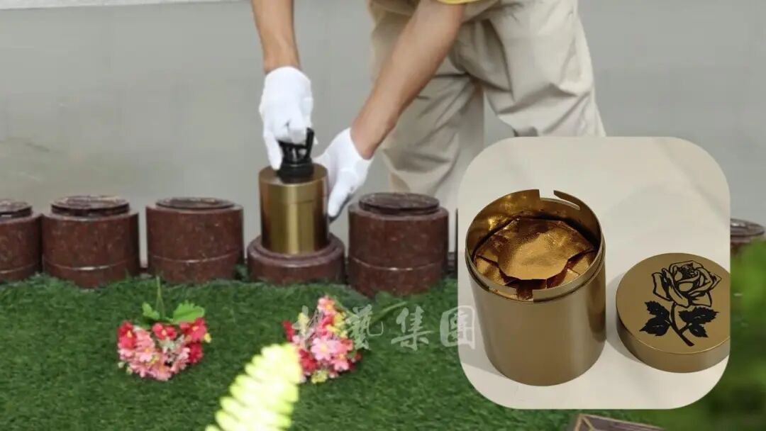 首页- Z6官网中国区人生就是博